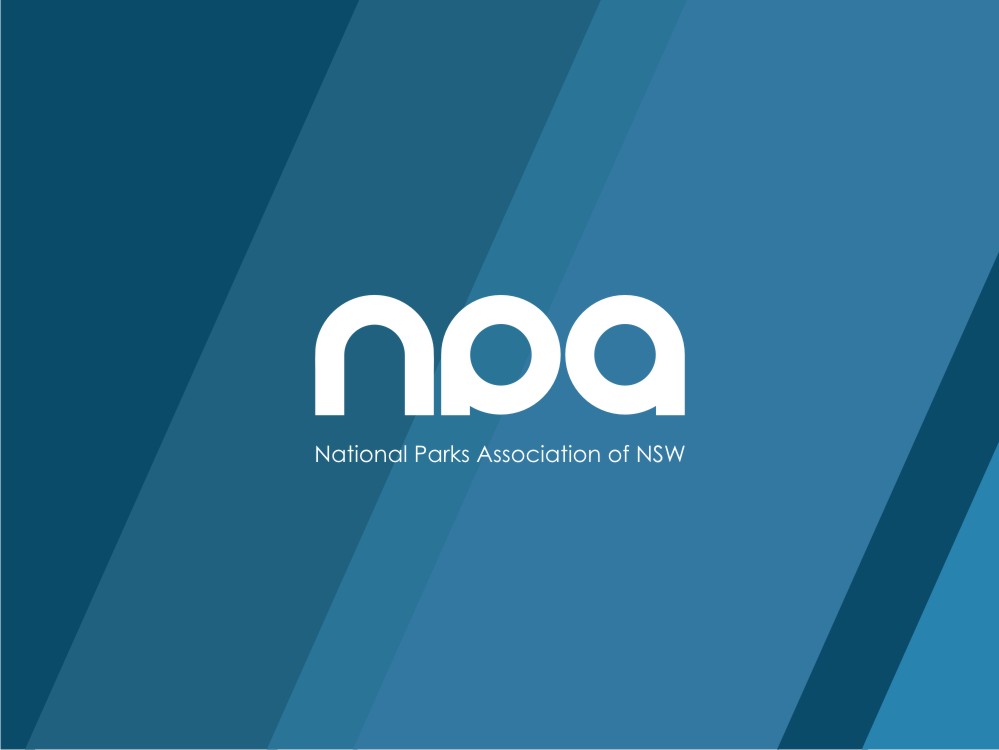 Diseño de Logo por Fifoconsult para National Parks Association | Diseño #6272319