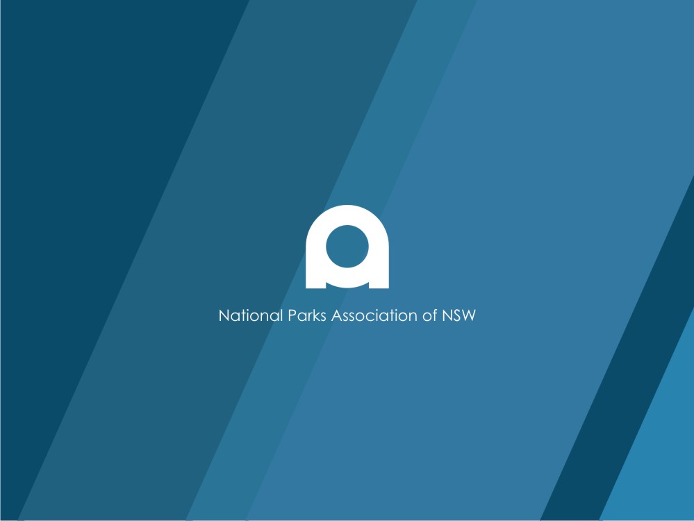 Diseño de Logo por Fifoconsult para National Parks Association | Diseño #6272325