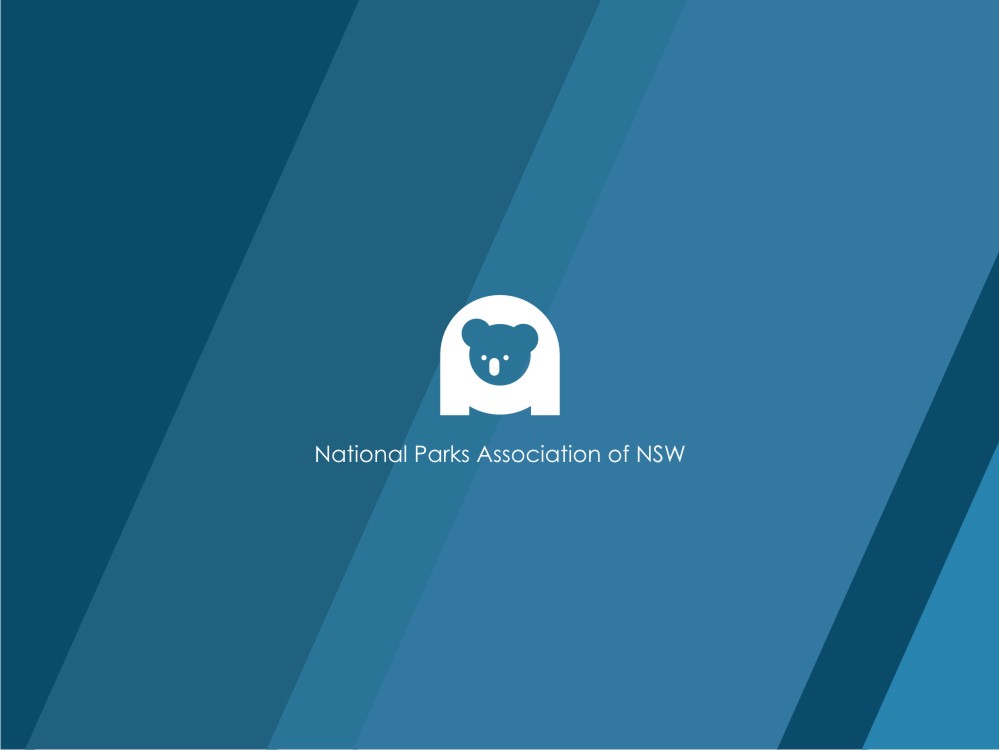 Diseño de Logo por Fifoconsult para National Parks Association | Diseño #6272397