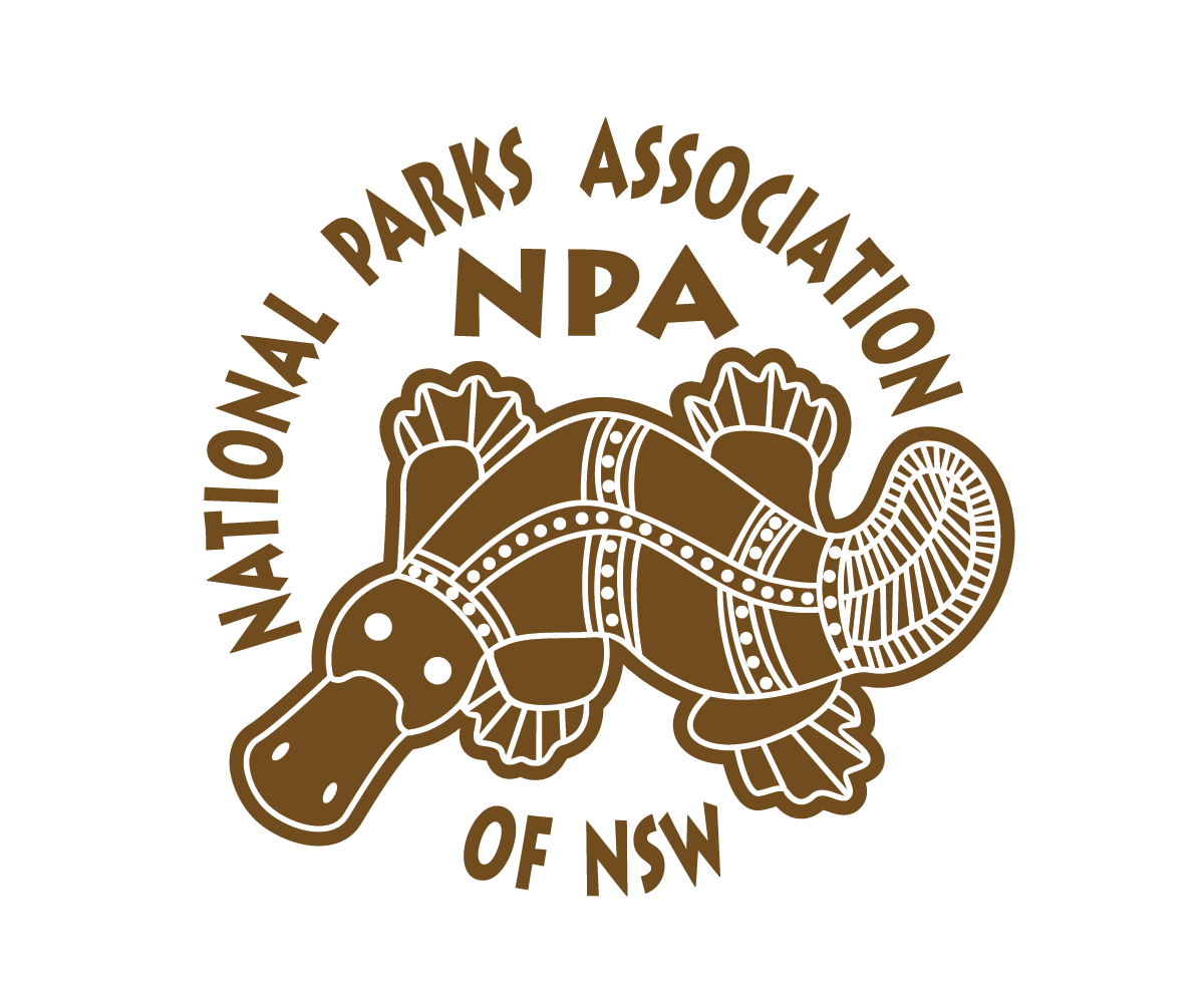Diseño de Logo por S.R.Graphic Design para National Parks Association | Diseño #6273347