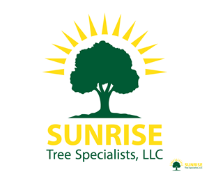 Logo Design by sangeloenriquez for this project | Design #6229733