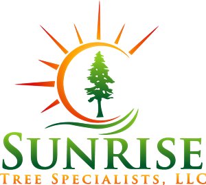 Logo Design by htd