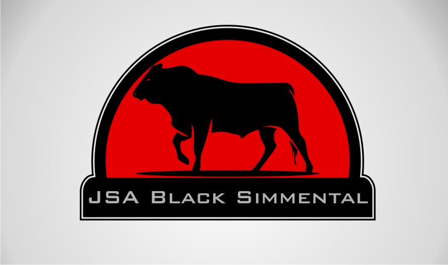 Logo Design by SAC for this project | Design #6309553