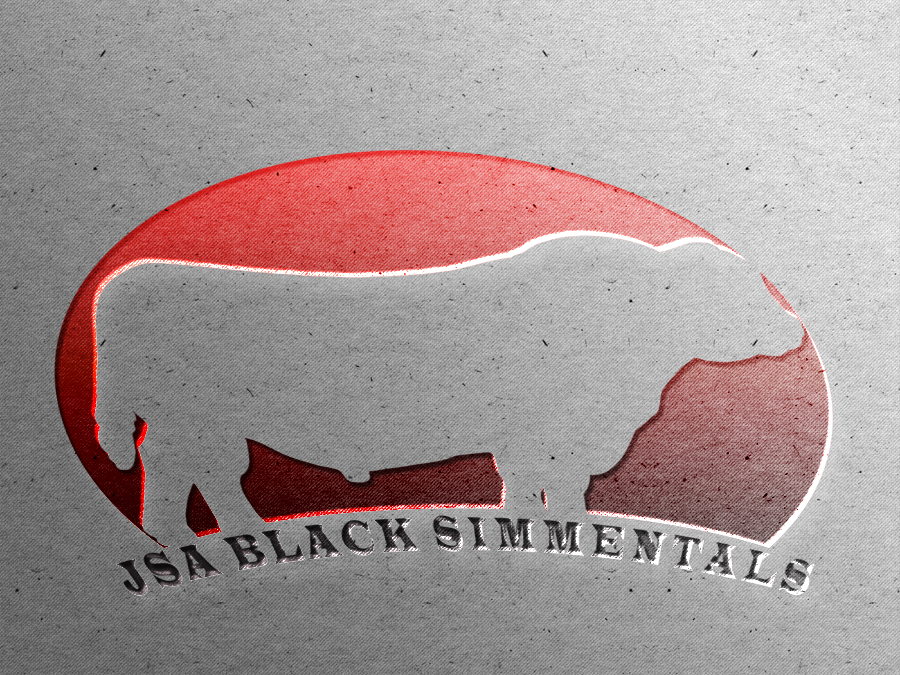 Logo Design by Abdulrahman W. Albaker for this project | Design #6312751