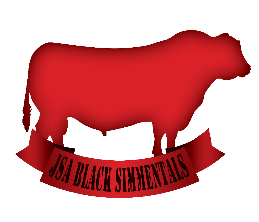 Logo Design by Abdulrahman W. Albaker for this project | Design #6313660