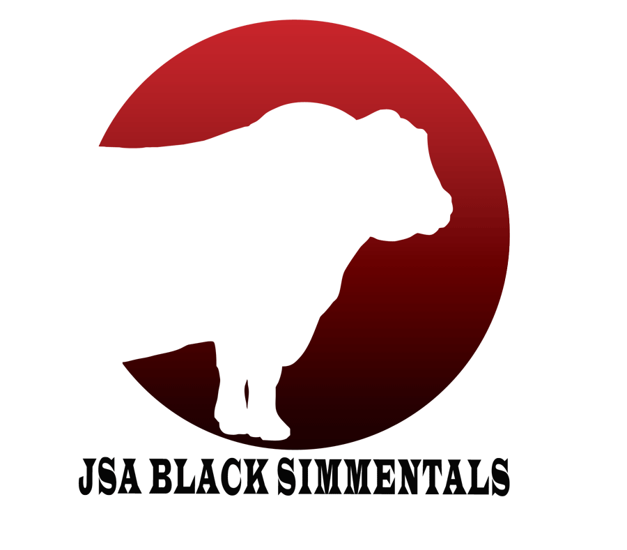 Logo Design by Abdulrahman W. Albaker for this project | Design #6313942