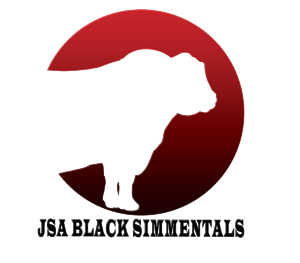 Logo Design by Abdulrahman W. Albaker for this project | Design: #6313942