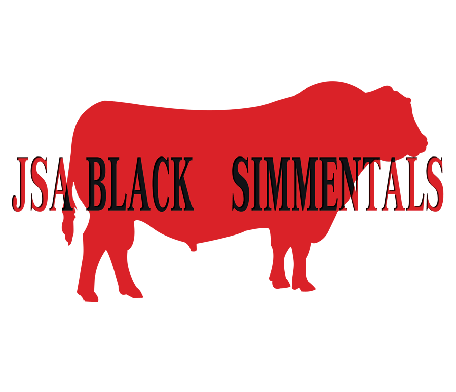 Logo Design by Abdulrahman W. Albaker for this project | Design #6314957