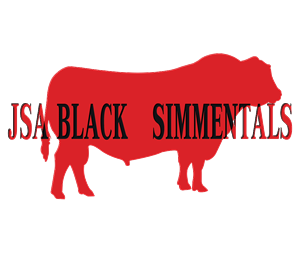 Logo Design by Abdulrahman W. Albaker for this project | Design: #6314957