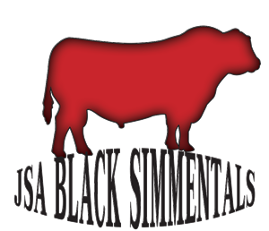 Logo Design by Abdulrahman W. Albaker for this project | Design: #6315084