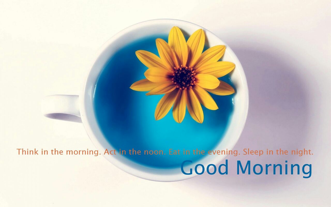 Design Photoshop par s s sheliya pour ce projet | Design #6245545