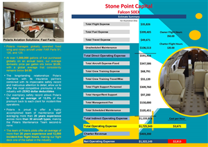 Design de Flyer par dii pour Polaris Aviation Solutions | Design : #6241632