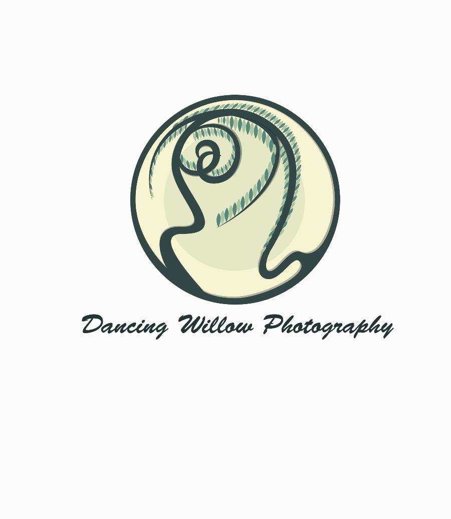 Diseño de Logo por Nino_Saakadze para este proyecto | Diseño #6239973