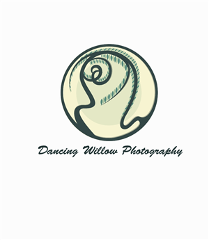 Logo Design by Nino_Saakadze