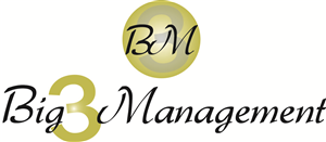 Logo Design by NewmieNetDesigns