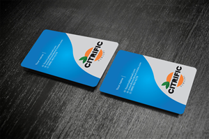 Business Card Design by creative vision