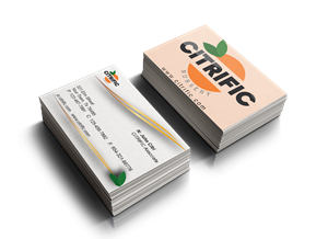 Business Card Design by ralfalopagusstudio