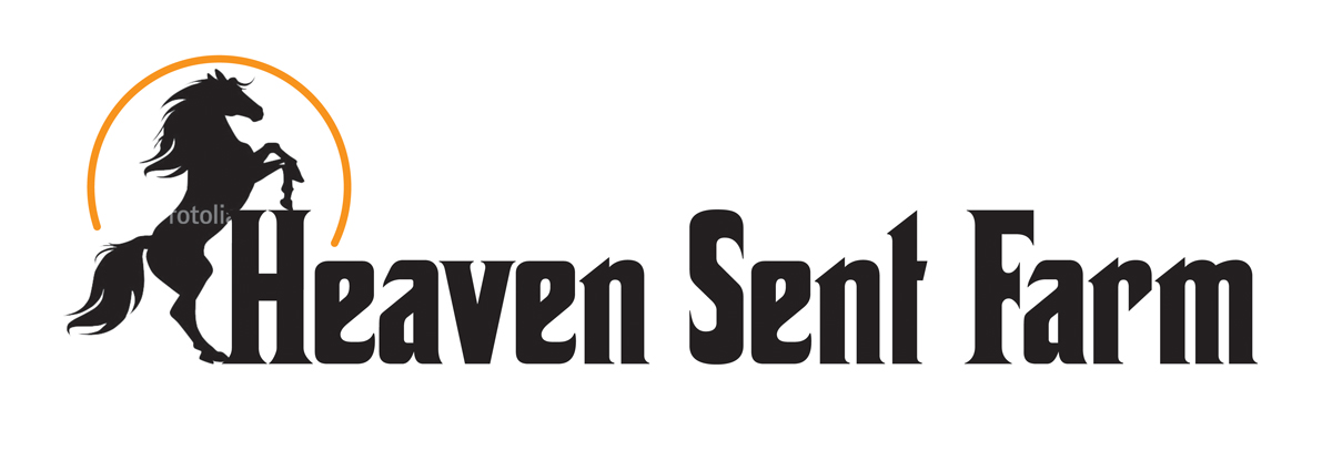 Logo Design by Janis Carroll for this project | Design #6272322
