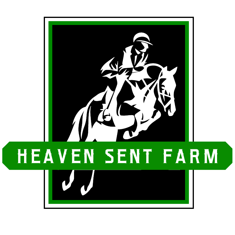 Logo Design by Blake Andujar Design for this project | Design #6258240