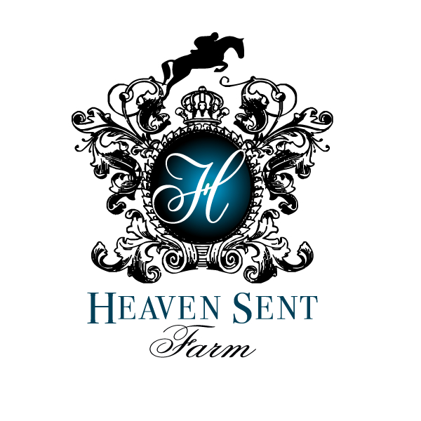 Logo Design by Blake Andujar Design for this project | Design #6258294