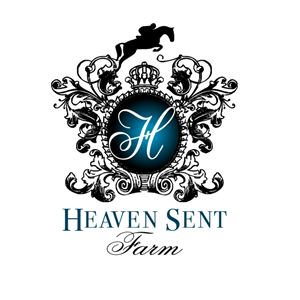 Logo Design by Blake Andujar Design