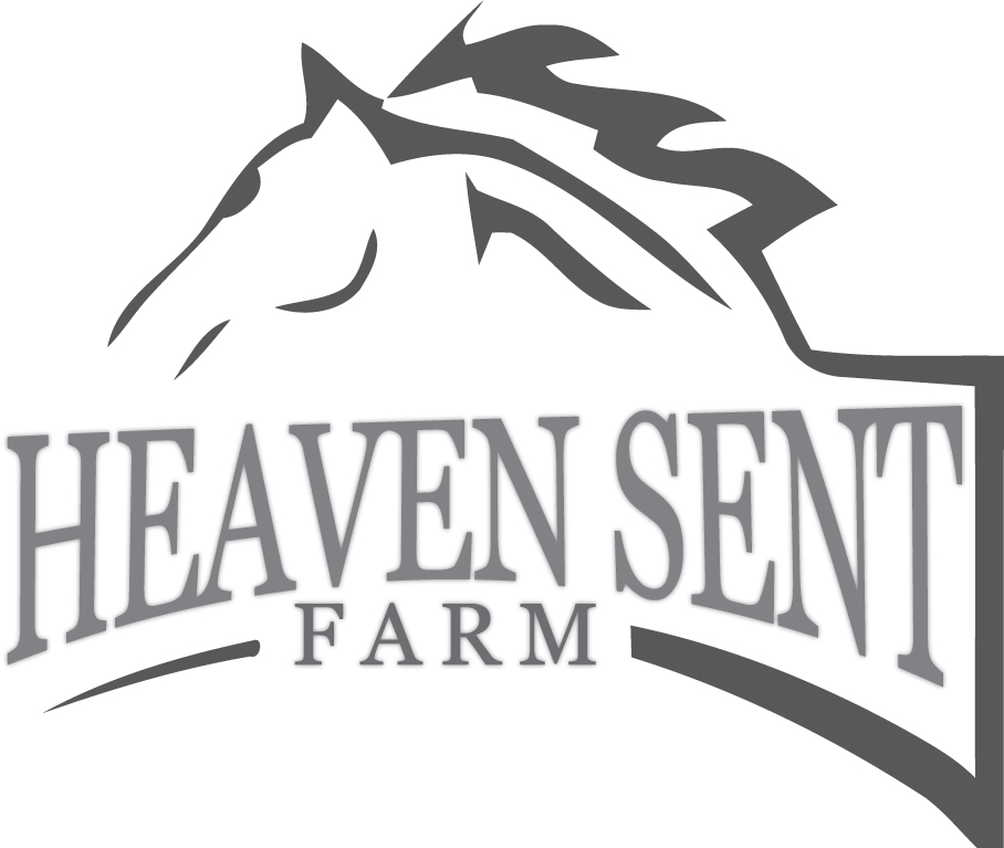 Logo Design by Miscellaneous Media for this project | Design #6281038