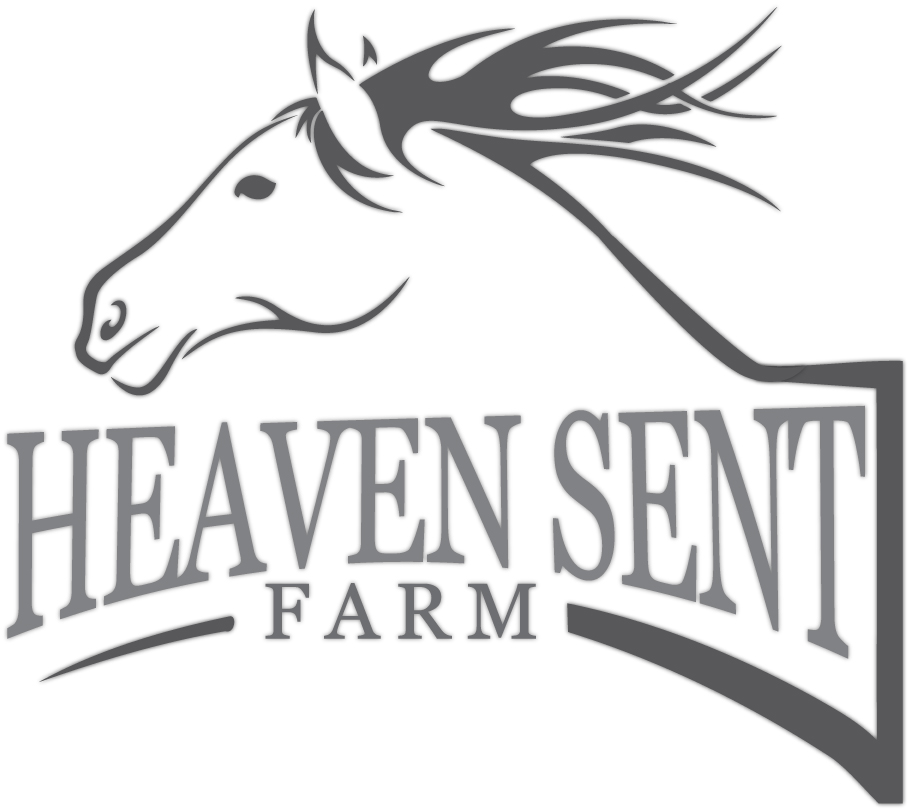 Logo Design by Miscellaneous Media for this project | Design #6288645