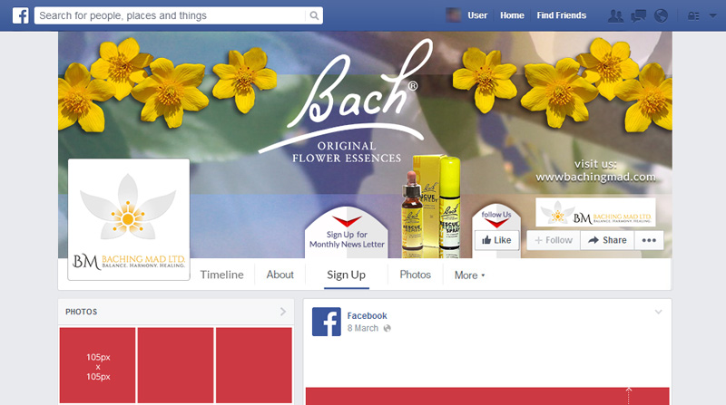 Facebook Design by rdesign12 for Baching Mad Ltd | Design #6301028