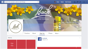 Facebook Design by rdesign12
