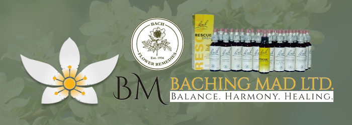 Facebook Design by Marcy M for Baching Mad Ltd | Design #6298737