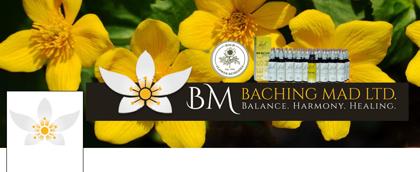 Facebook Design by Marcy M for Baching Mad Ltd | Design #6300880