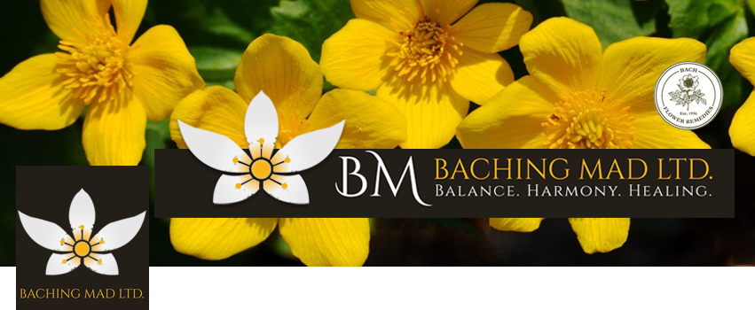 Facebook Design by Marcy M for Baching Mad Ltd | Design #6306926