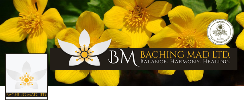 Facebook Design by Marcy M for Baching Mad Ltd | Design #6308224