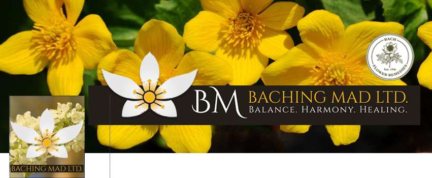 Facebook Design by Marcy M for Baching Mad Ltd | Design #6308481