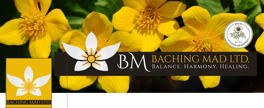 Facebook Design by Marcy M for Baching Mad Ltd | Design #6308482