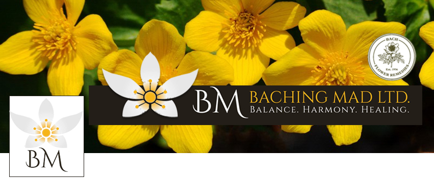 Facebook Design by Marcy M for Baching Mad Ltd | Design #6308989