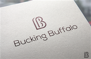 Logo Design by Hamiz Imran