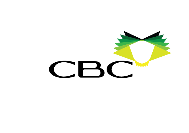 Diseño de Logo por CaptainZZ para este proyecto | Diseño #1662945