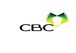 Diseño de Logo por CaptainZZ para este proyecto | Diseño: #1662945