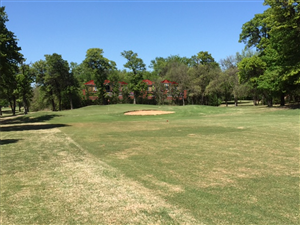 Diseño Con Ilustración por Daniel318 para este proyecto | Diseño: #6368619