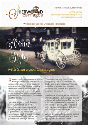 Flyer Design by Draw4