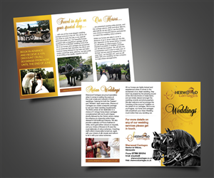 Diseño de Flyer por Mahendran  para w.h.f.l | Diseño #6264333
