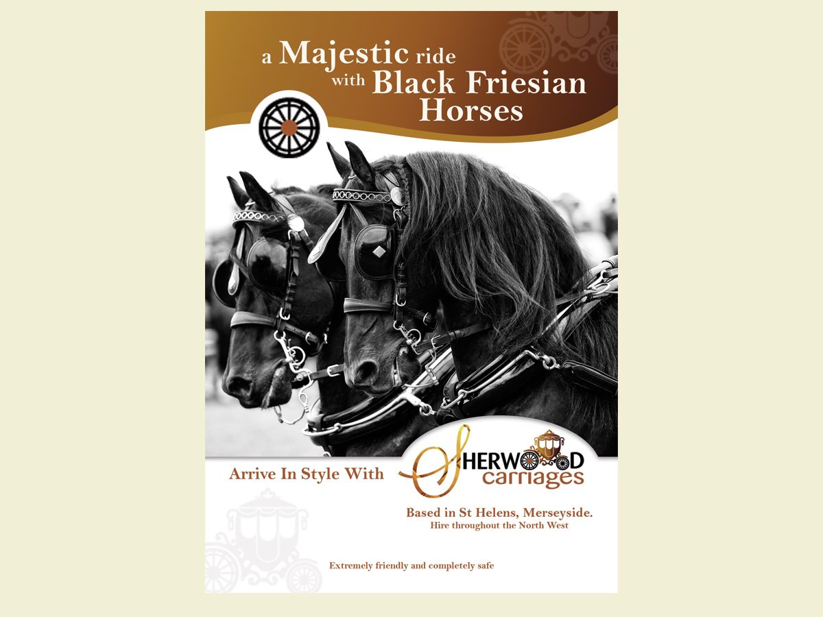 Flyer-Design von LeonFX für w.h.f.l | Design #6259363