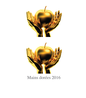 Logo Design by 3drit
