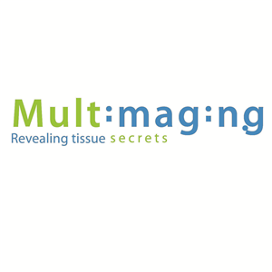 Logo Design by rosevalley