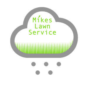 Logo Design by Clear Water Design Studio