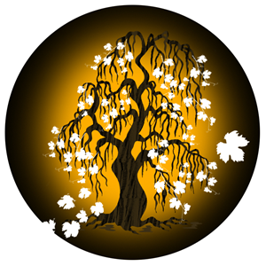 Logo Design by Lauren Novak