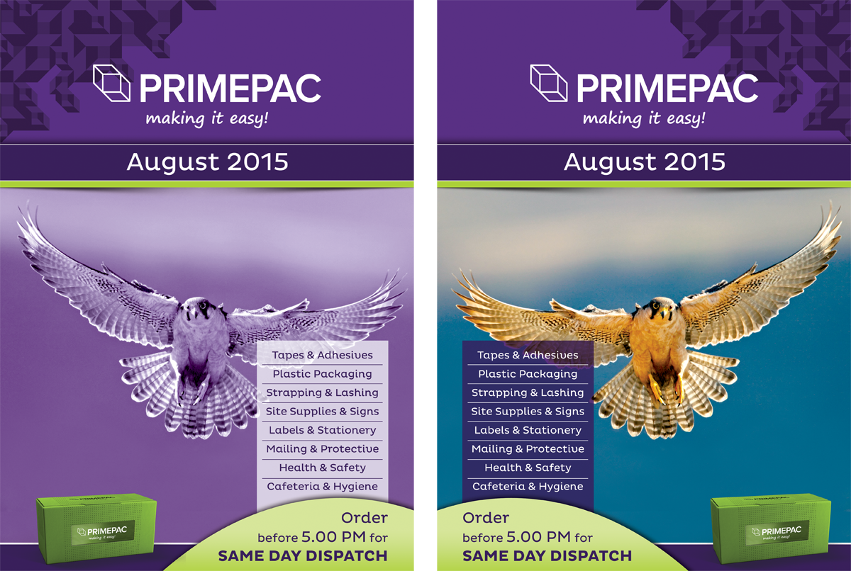 Book Cover Design by Akshar Shailesh for this project | Design #6343269