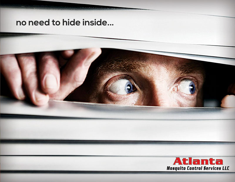 Postcard Design by alessandroevge for this project | Design #6294368