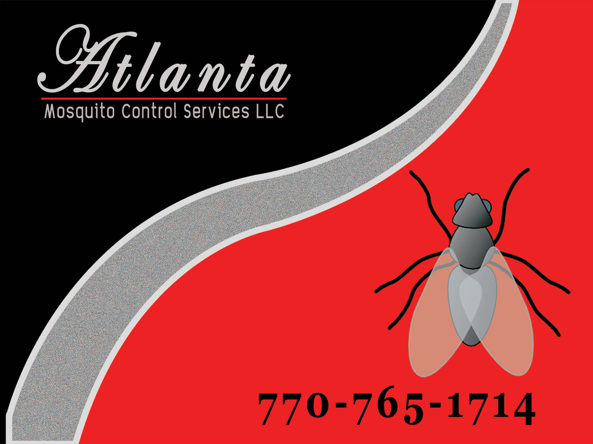 Postcard Design by Manish63 for this project | Design #6318086